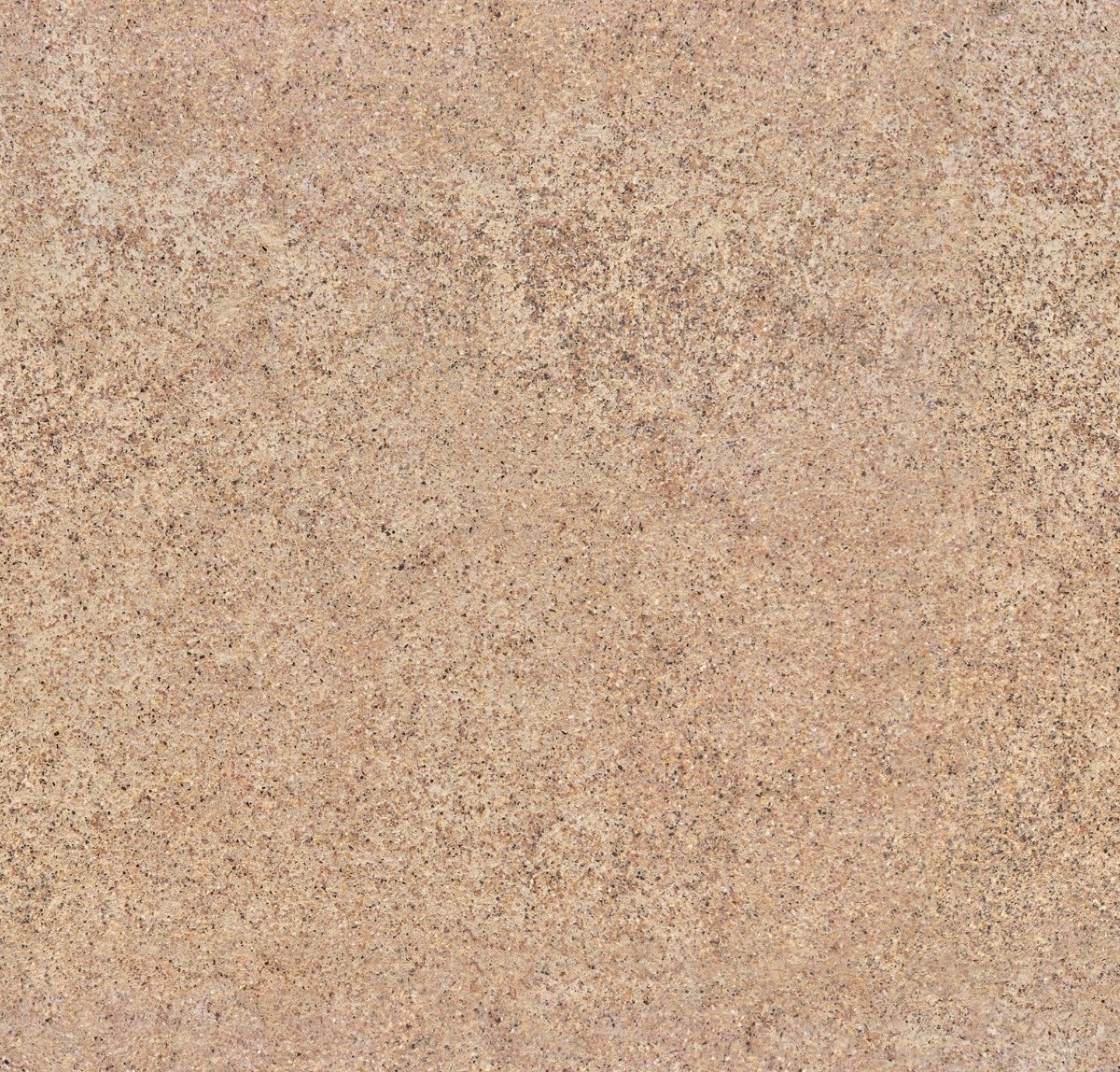 granular coffee waste surface in warm brown with organic speckled pattern for wall use
