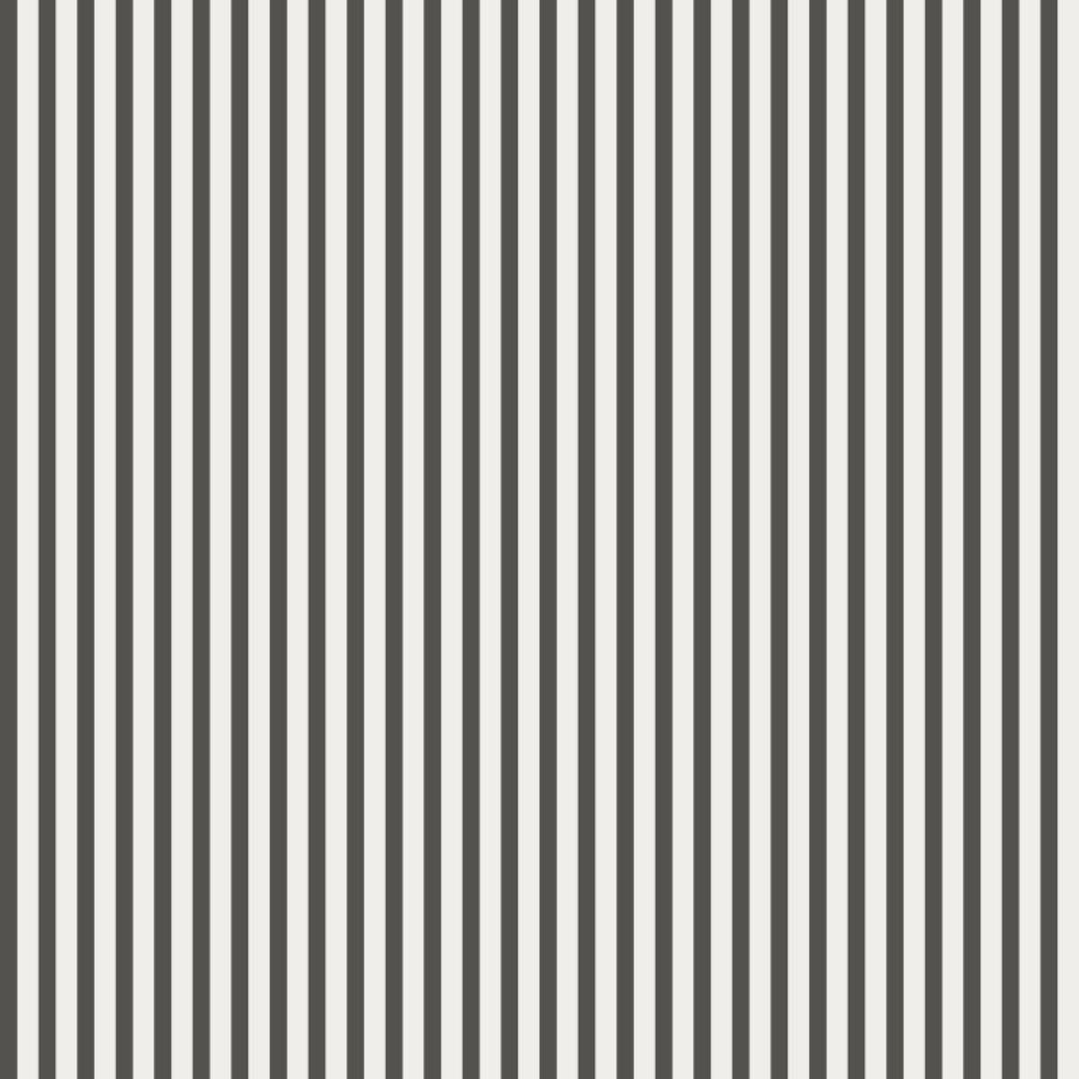 matte wallpaper with vertical graphite grey stripes on a light neutral background for wall decoration