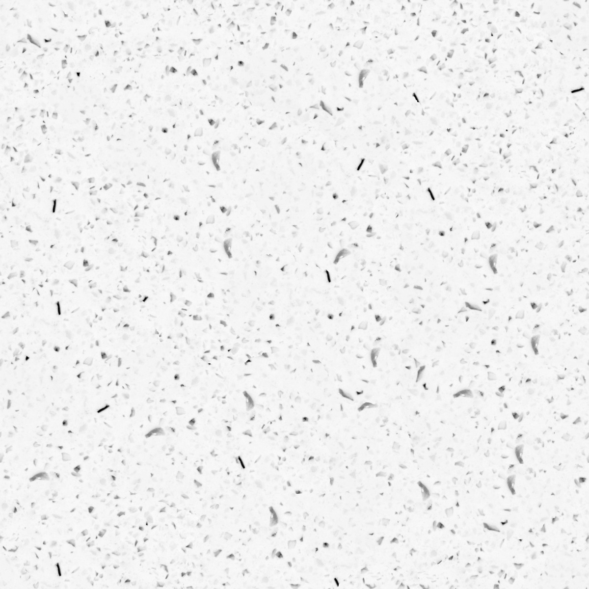 White terrazzo surface with scattered black and grey stone chips in a polished finish for flooring or walls