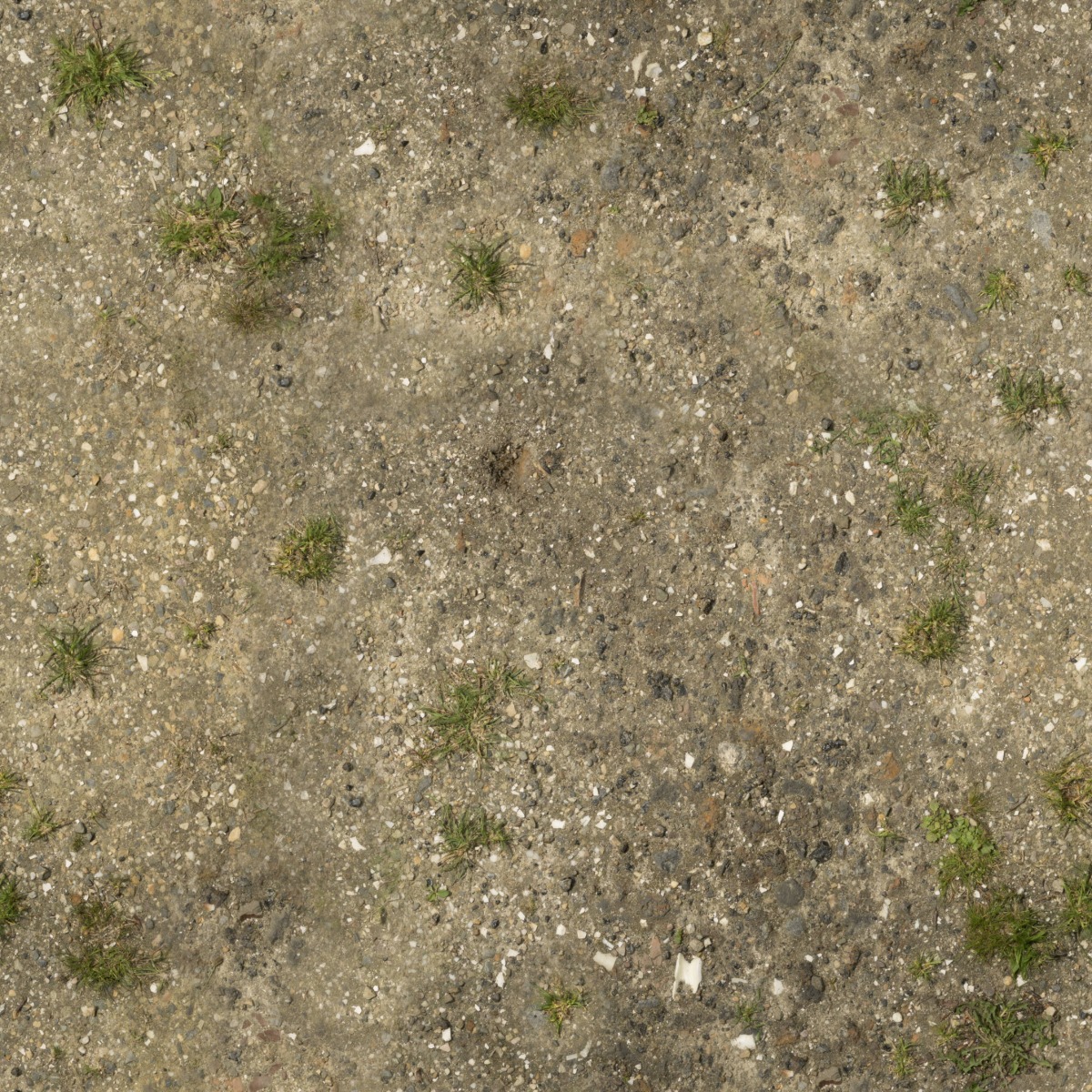 patchy soil ground with scattered small grass tufts and speckled stones in earth tones