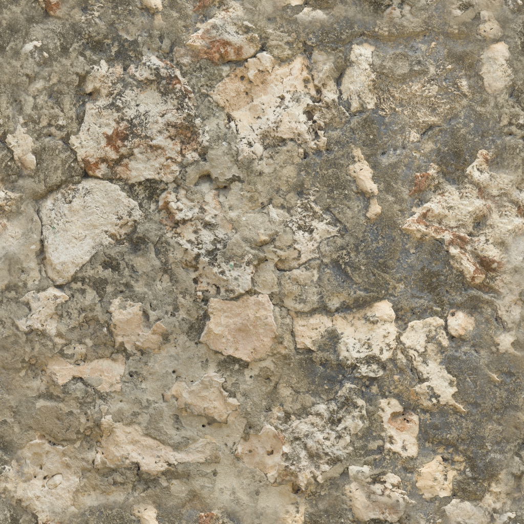 Coral Fort Wall 02