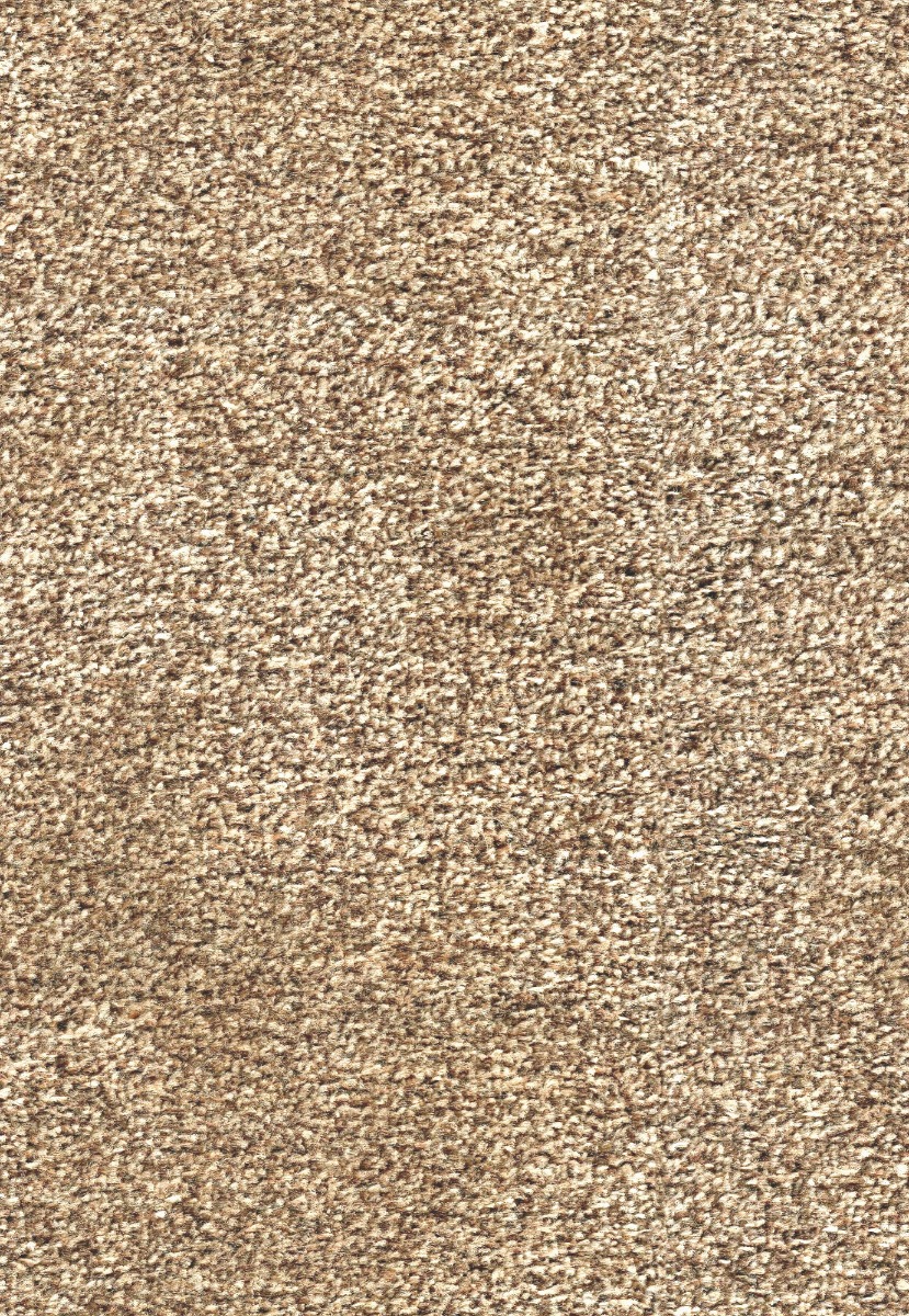 Cut Pile Carpet None Cqbtcd 1200
