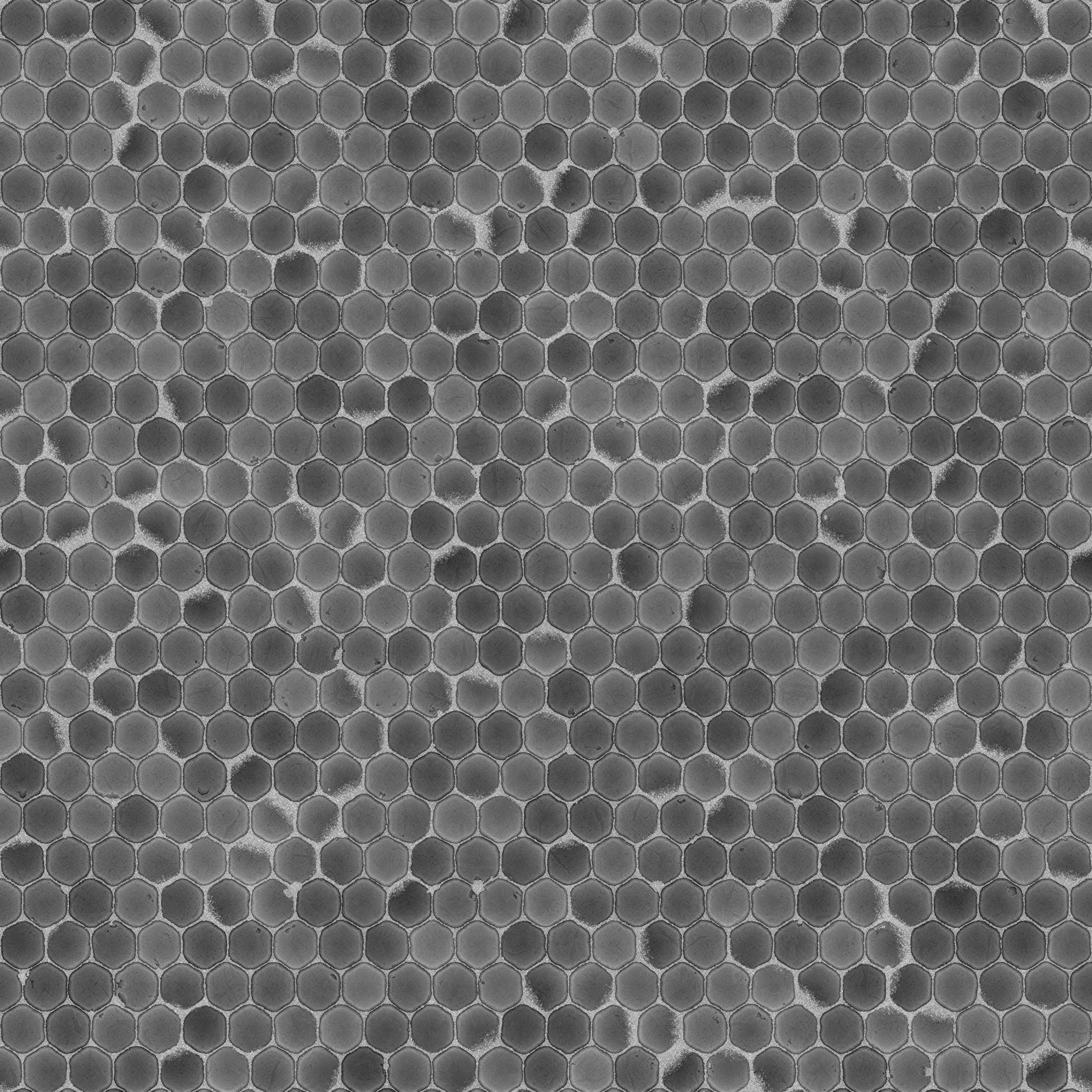 Hexagon Mosaic Tiles Roughness Map