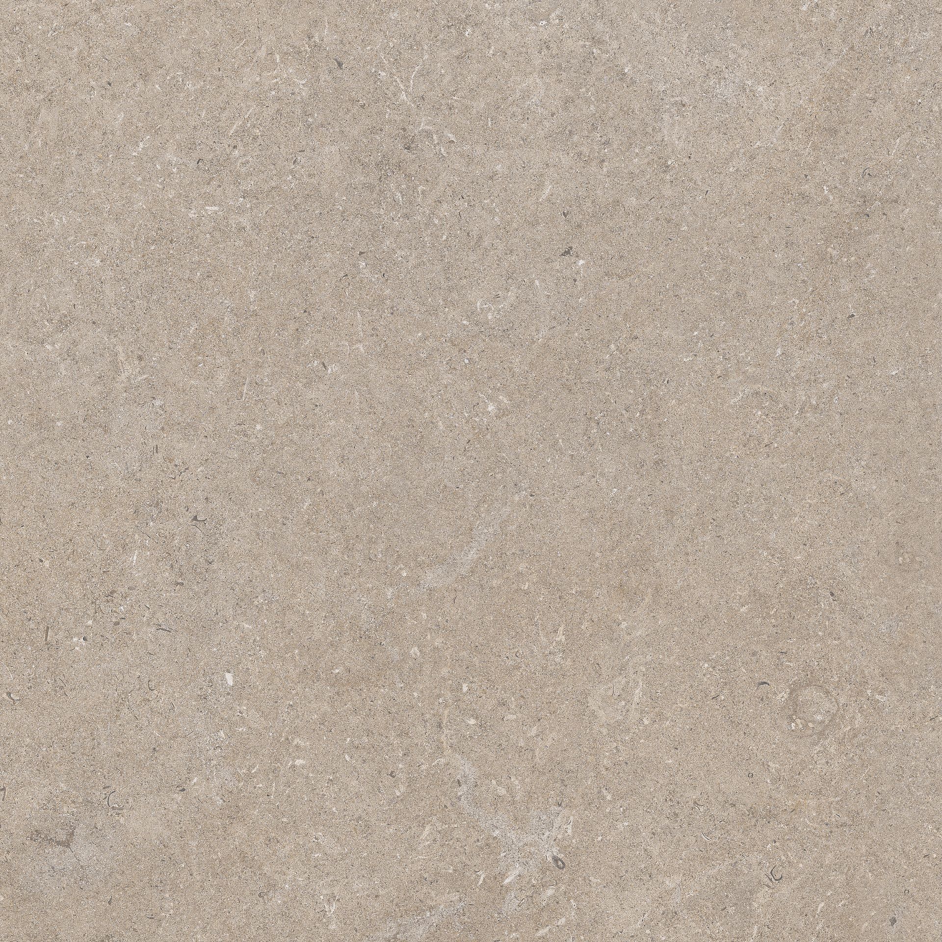 Limestone 1920x1920 4597682726743380352