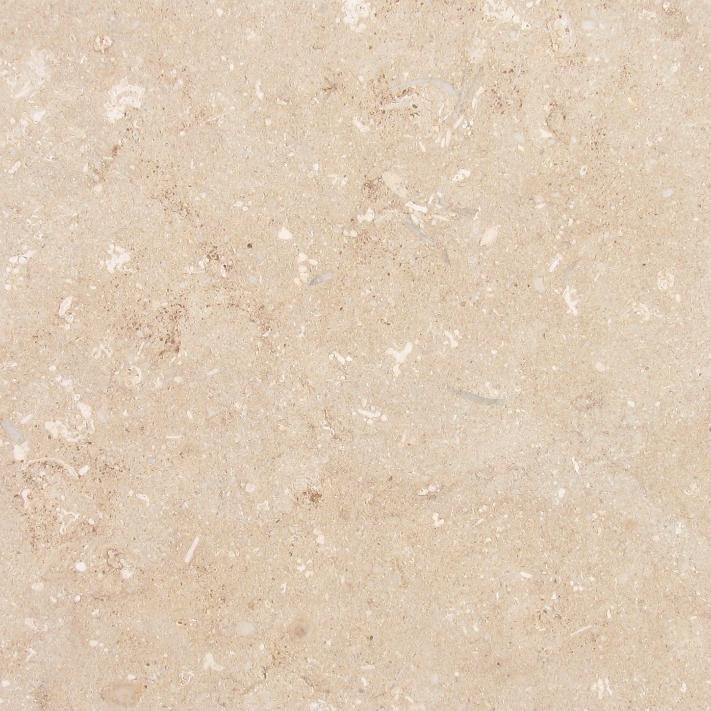 Limestone 1450x1450 622411611035957211