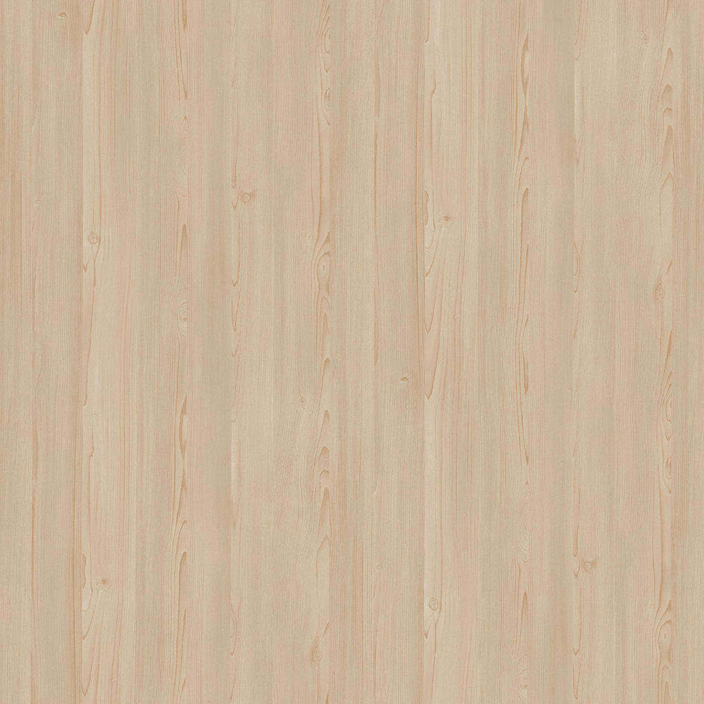Maple Wood Texture