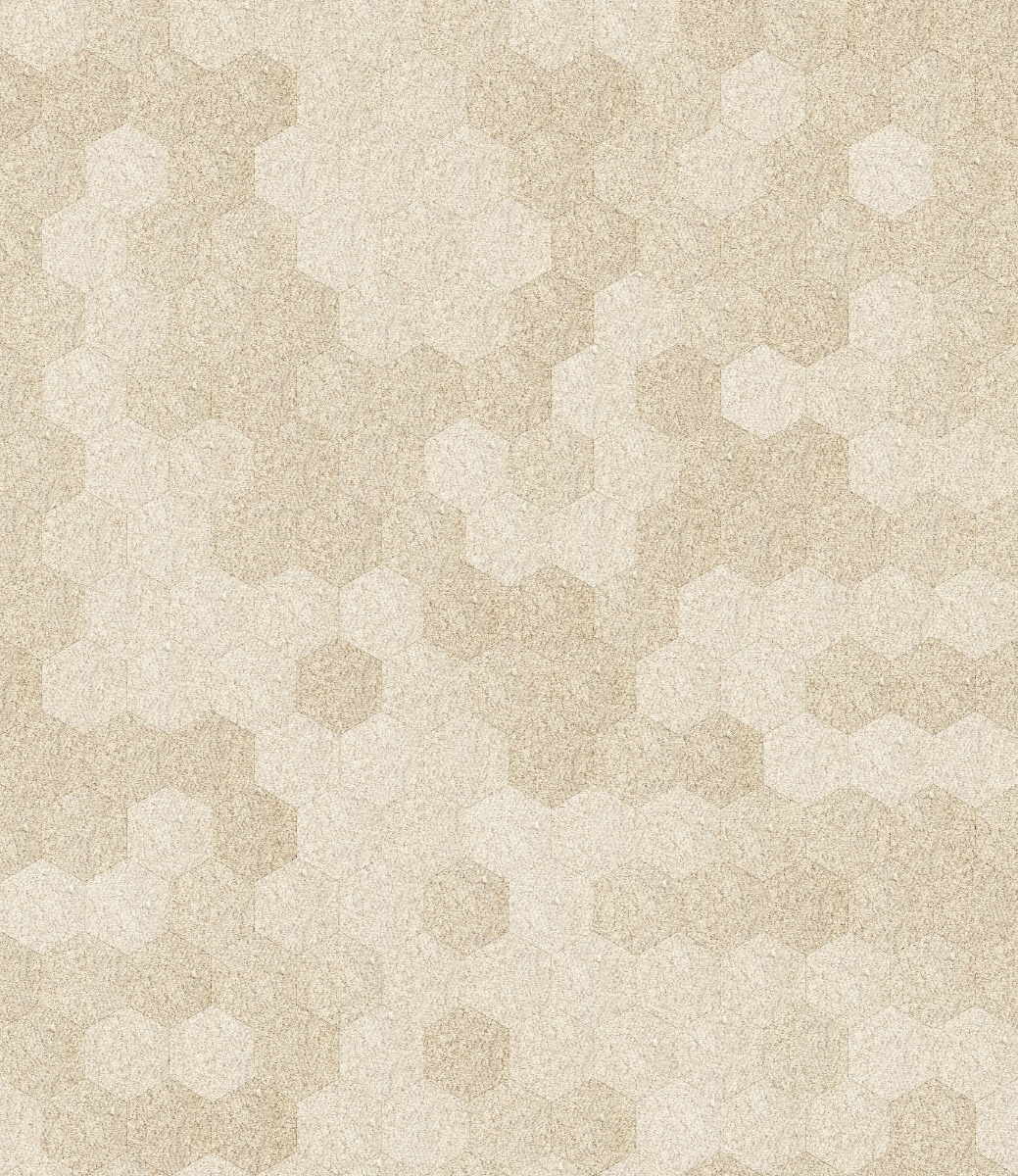 Oatmeal Loop Pile Carpet Hexagonal En2efe