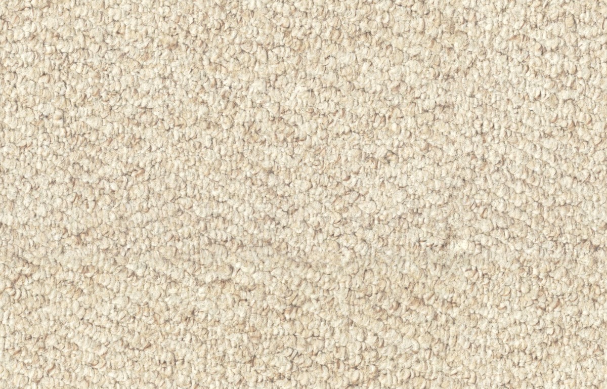 Oatmeal Loop Pile Carpet None Dyoifo 1200