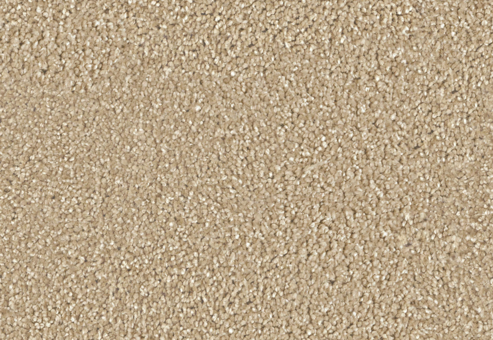 Saxony Carpet 60e3338f9f6e7 1200