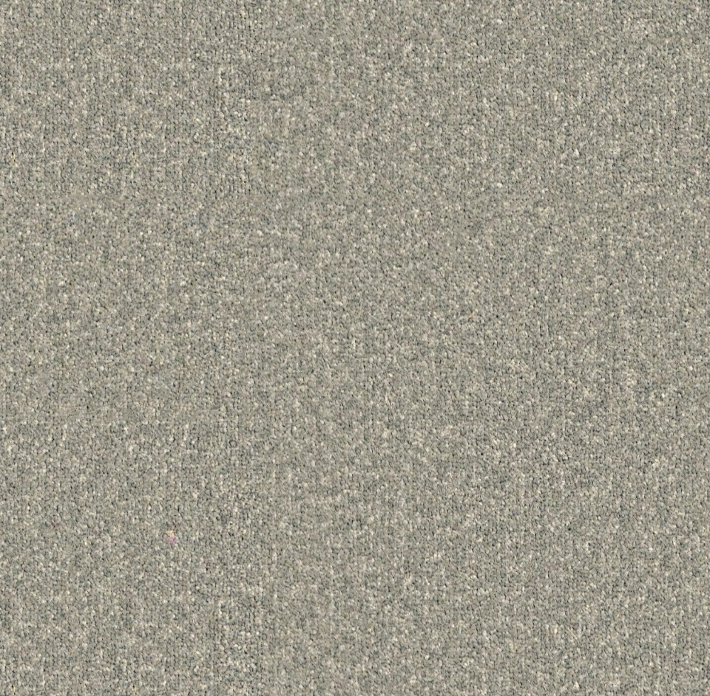 Short Pile Carpet 60e3333d6389a 1200