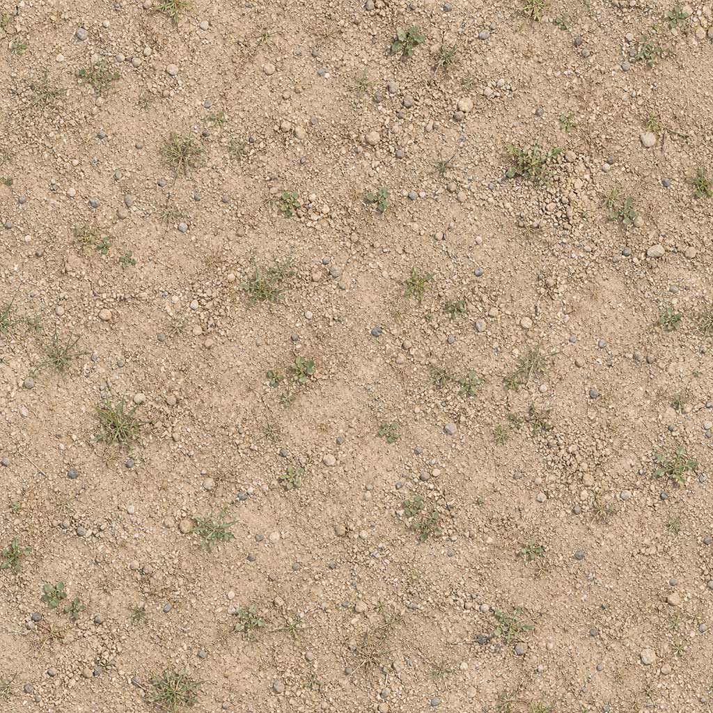 dry beige soil with small stones and sparse green grass patches, natural outdoor ground surface