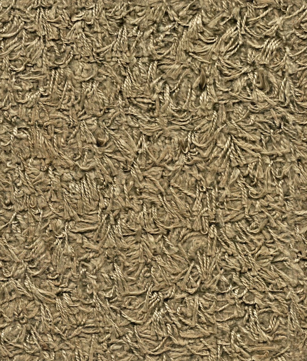 Tassel Carpet None Sx5fci 1200