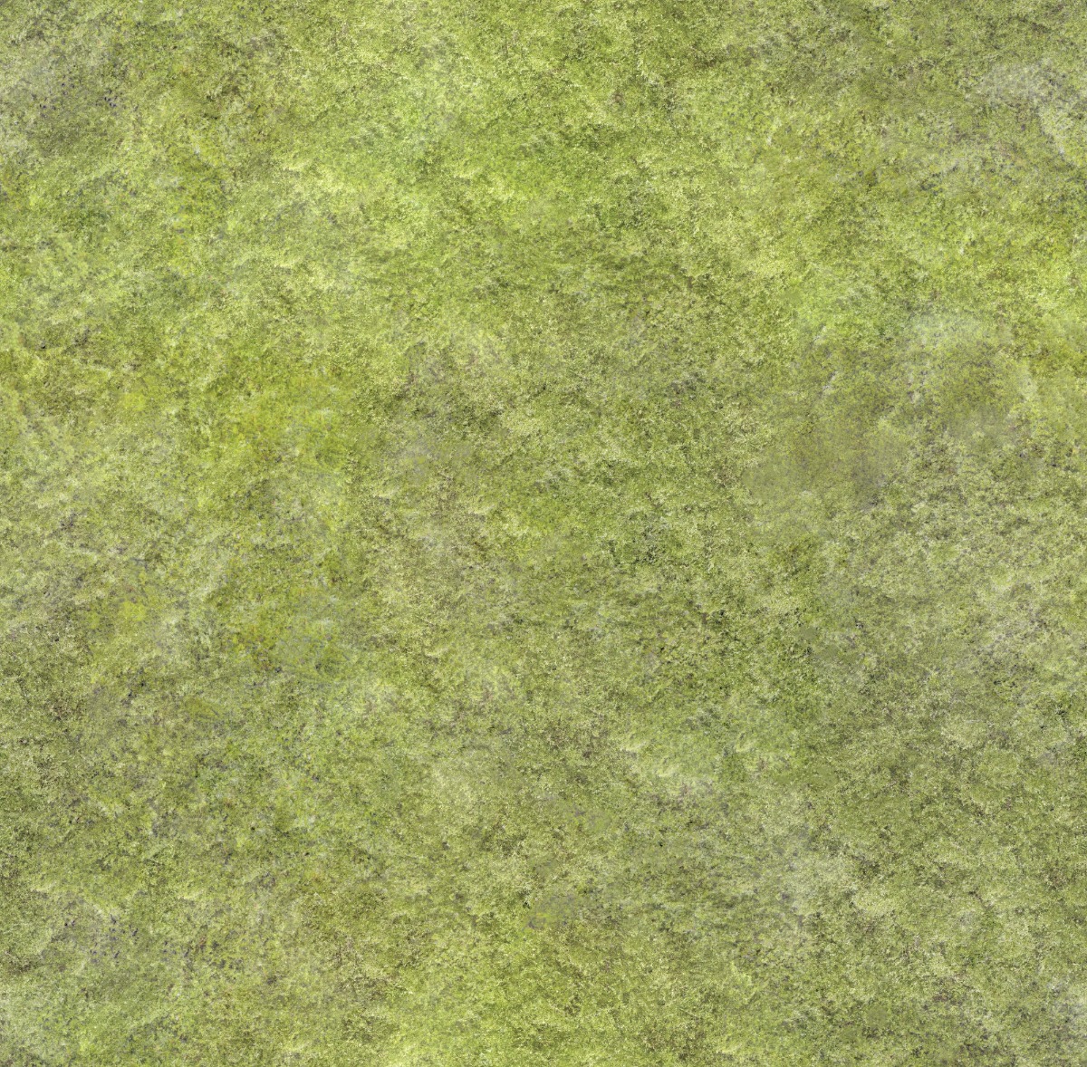 dense green moss texture with organic natural pattern and varied shades of green