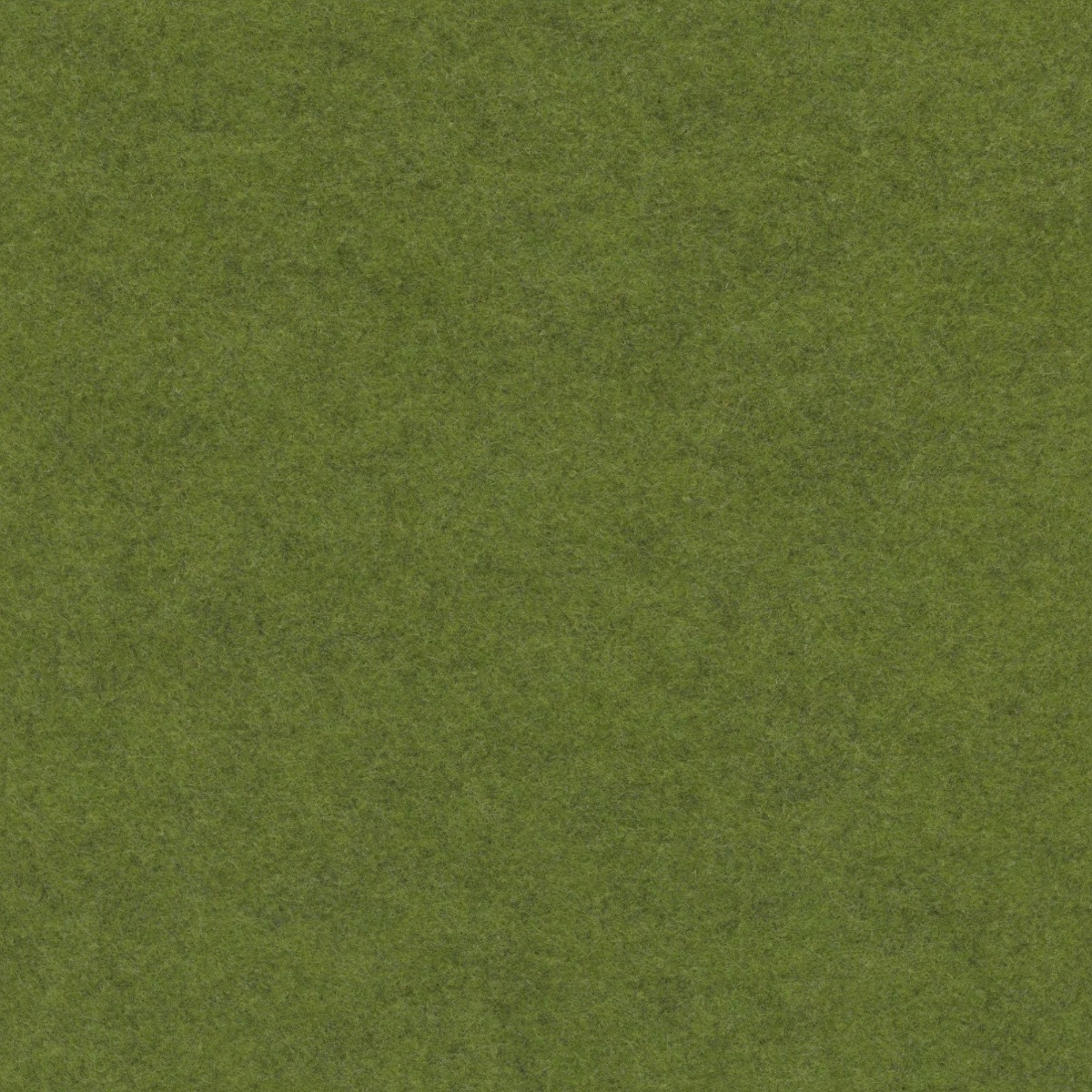 seamless green wool felt fabric with soft fuzzy texture and olive green color