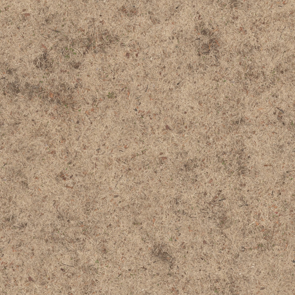 close-up of withered dry grass ground cover with scattered leaves and soil patches in beige and brown tones