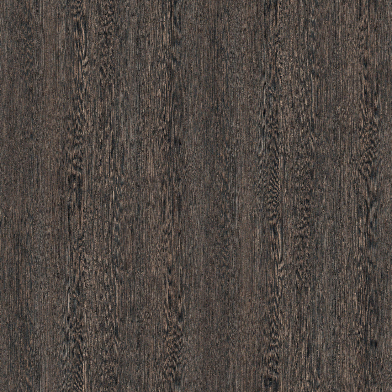 Grey Brown Wood Texture