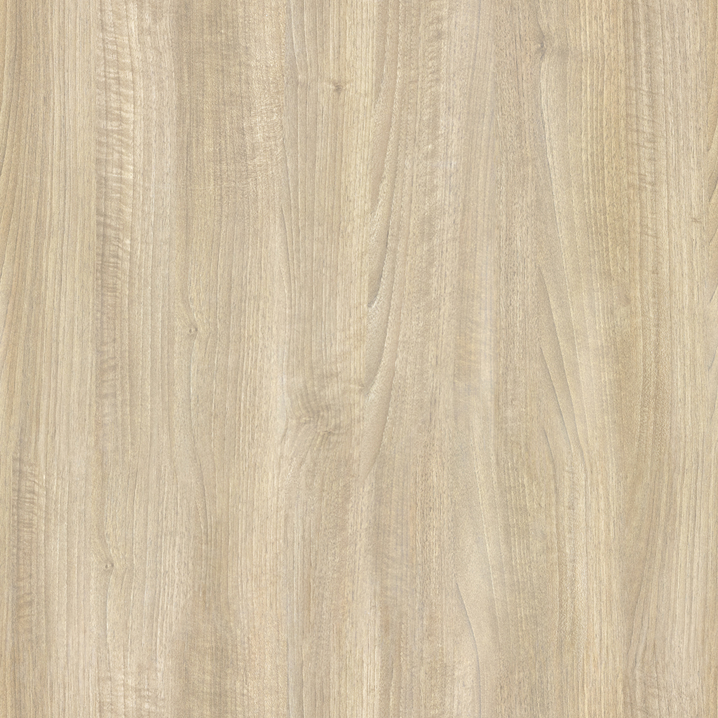 Light Ash Wood Texture