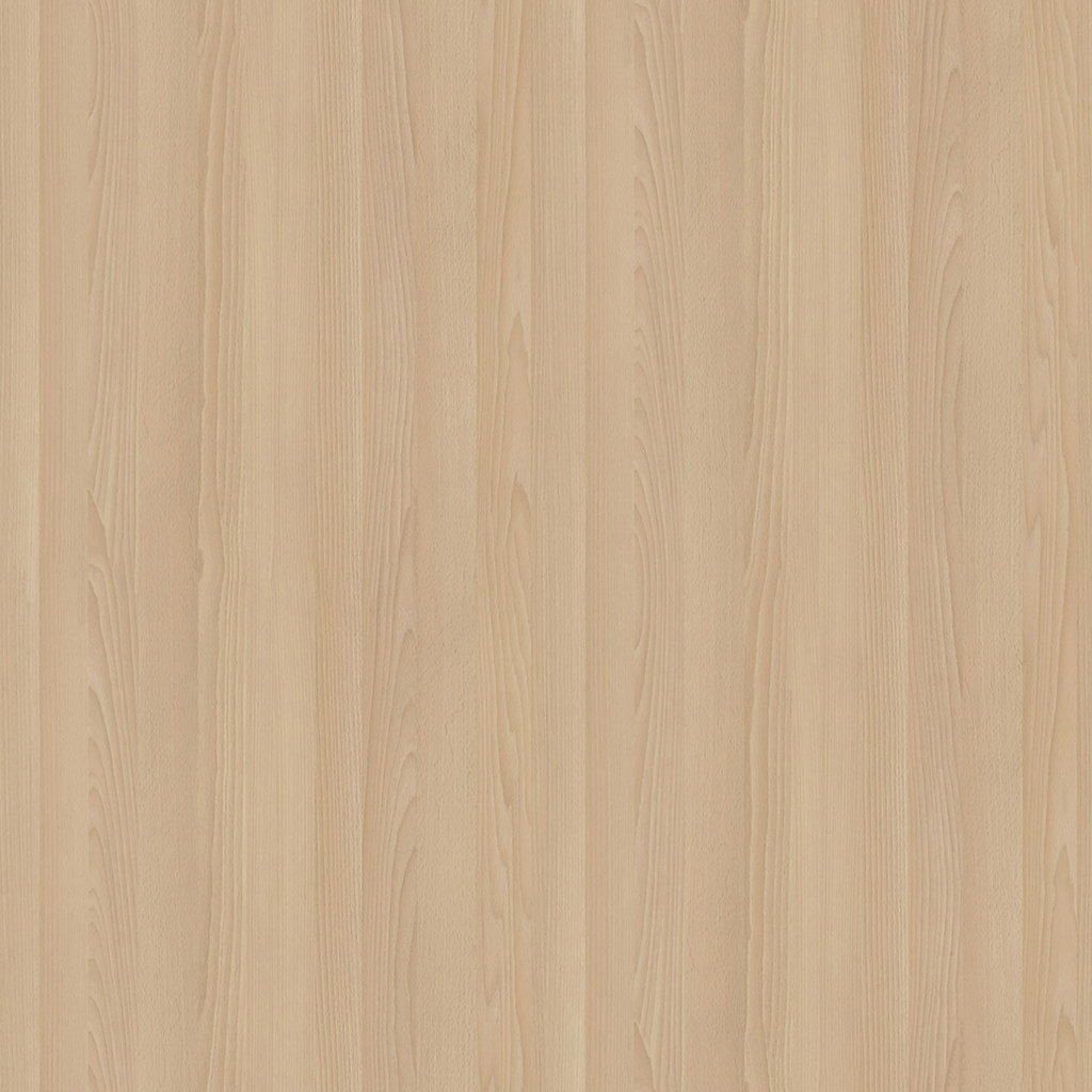 Light Beech Wood Texture