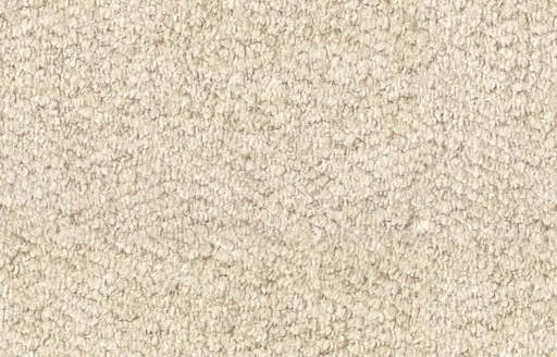 close-up of oatmeal beige loop pile carpet with dense and uniform texture for flooring