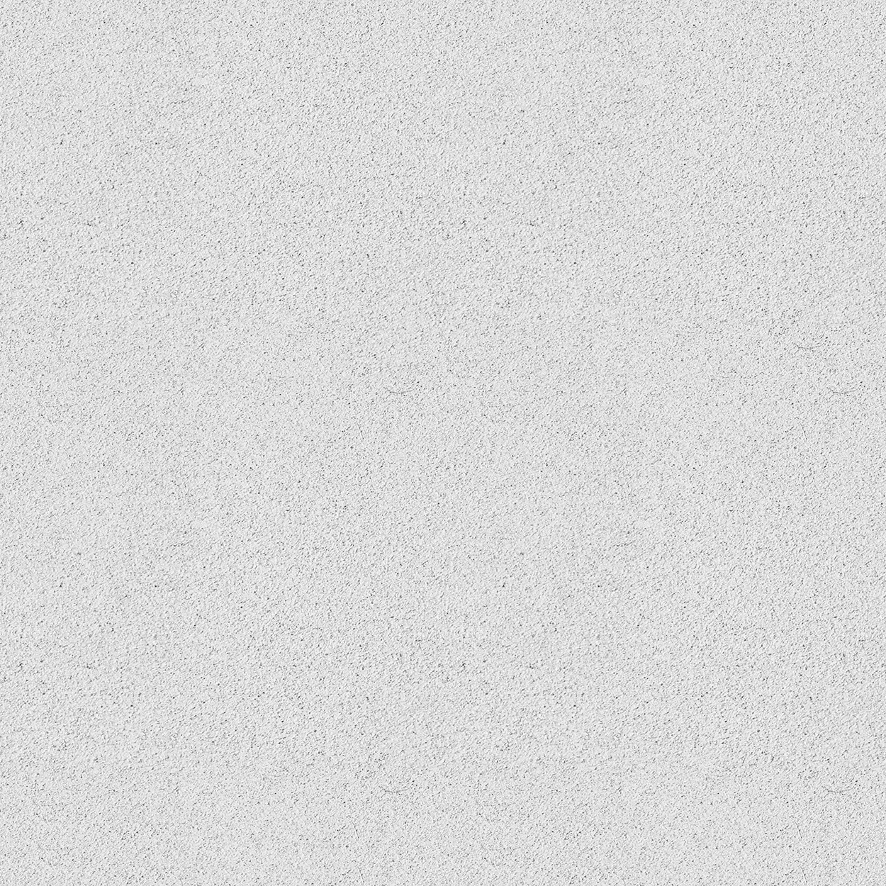 Paint Ral 7047 06