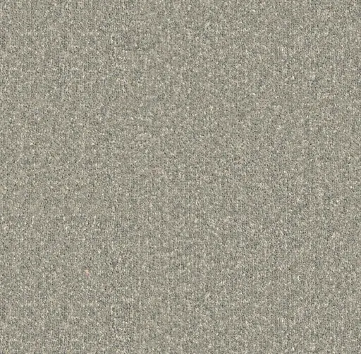 short pile grey carpet with subtle speckled texture and uniform color for indoor flooring