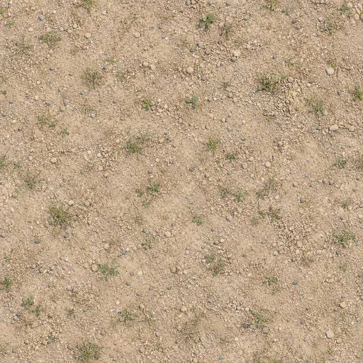 dry beige soil with small stones and sparse green grass patches, natural outdoor ground surface