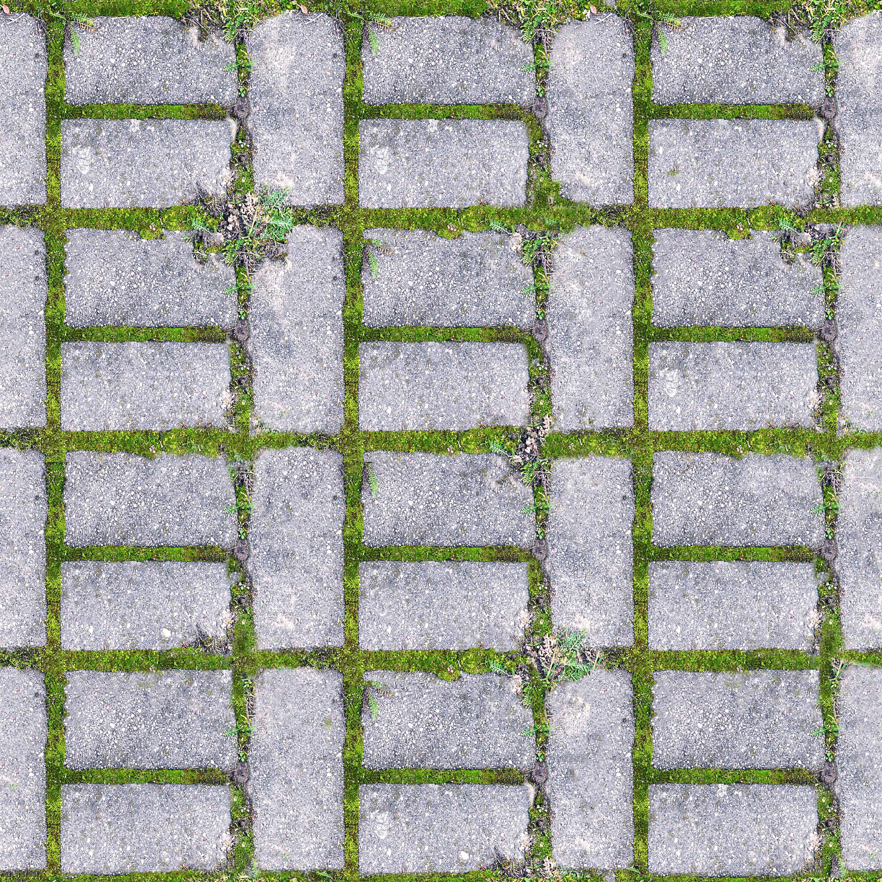 Stone Brick Pavers Grass Texture