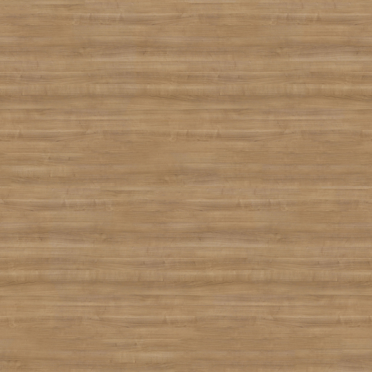 Walnut Wood Texture